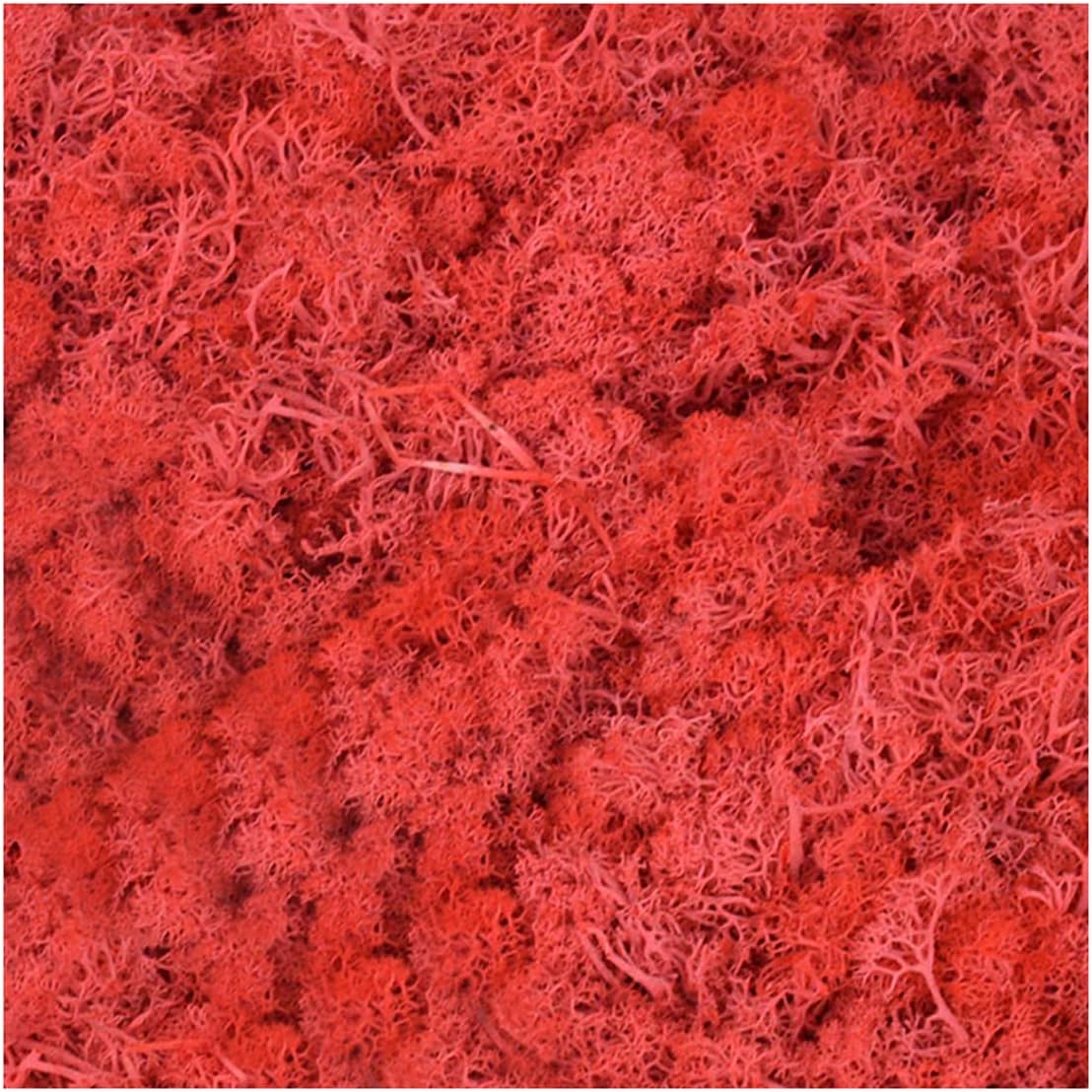 QueenBox 40g Multi-Color Artificial Moss for Home and Garden