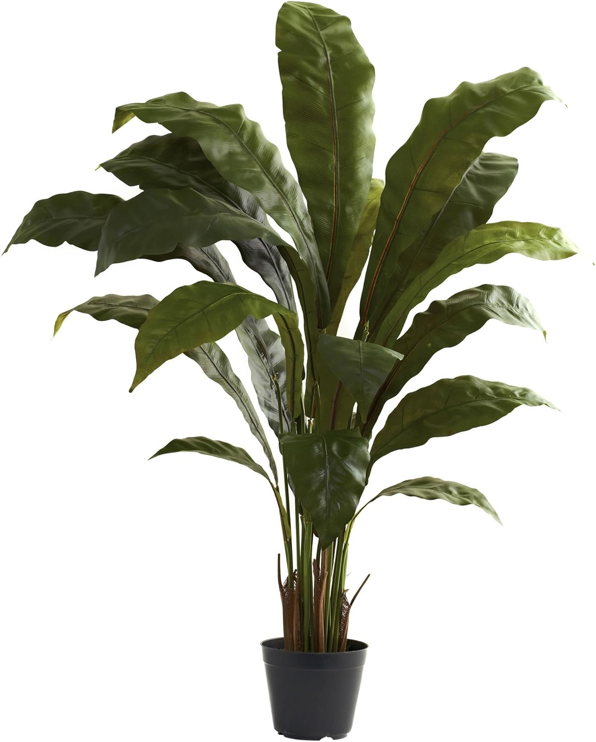 Nearly Natural 35ft Birds Nest Plant