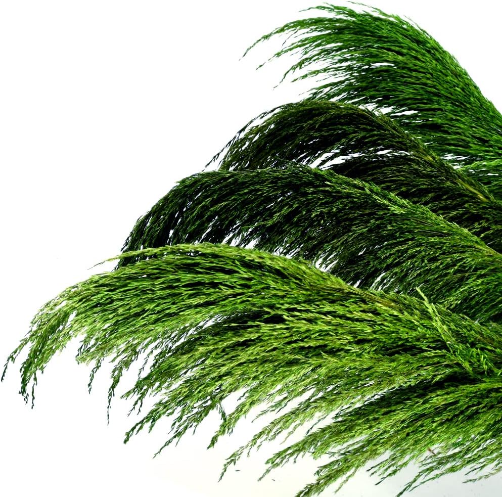 Green Pampas Grass Decor 4pcs 433 Inch Tall Artificial Plant with Natural Dried Flower Aroma