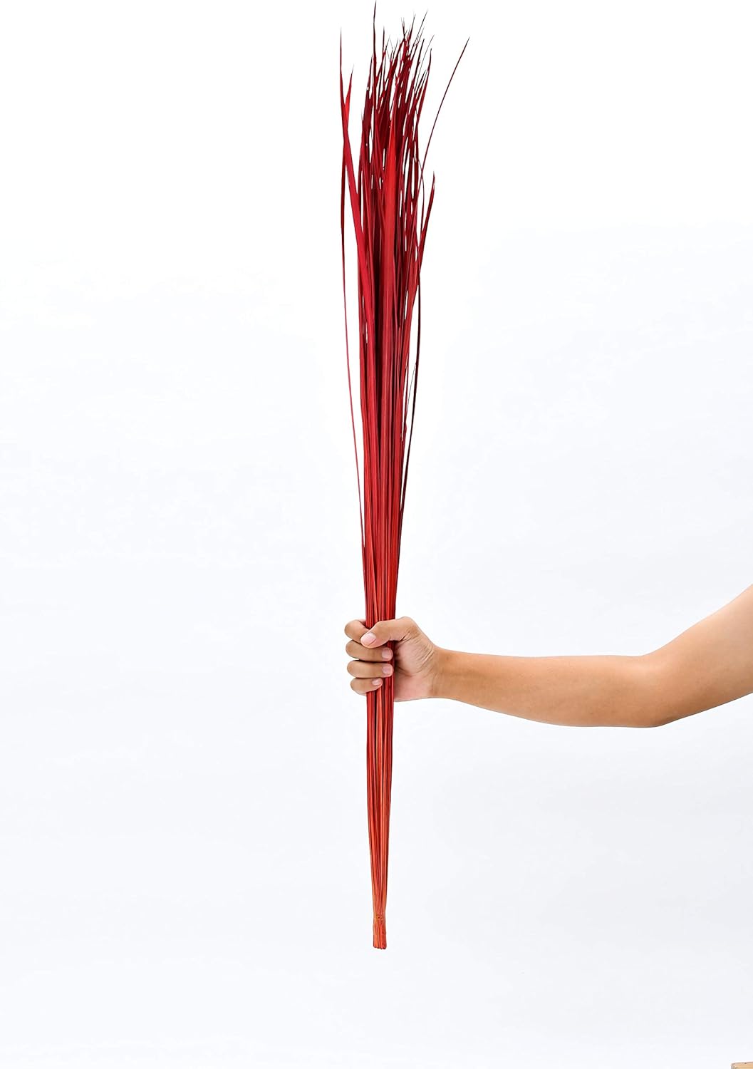 Leewadee Tall Vase Filler Red 45 Inch Natural Grass Stems