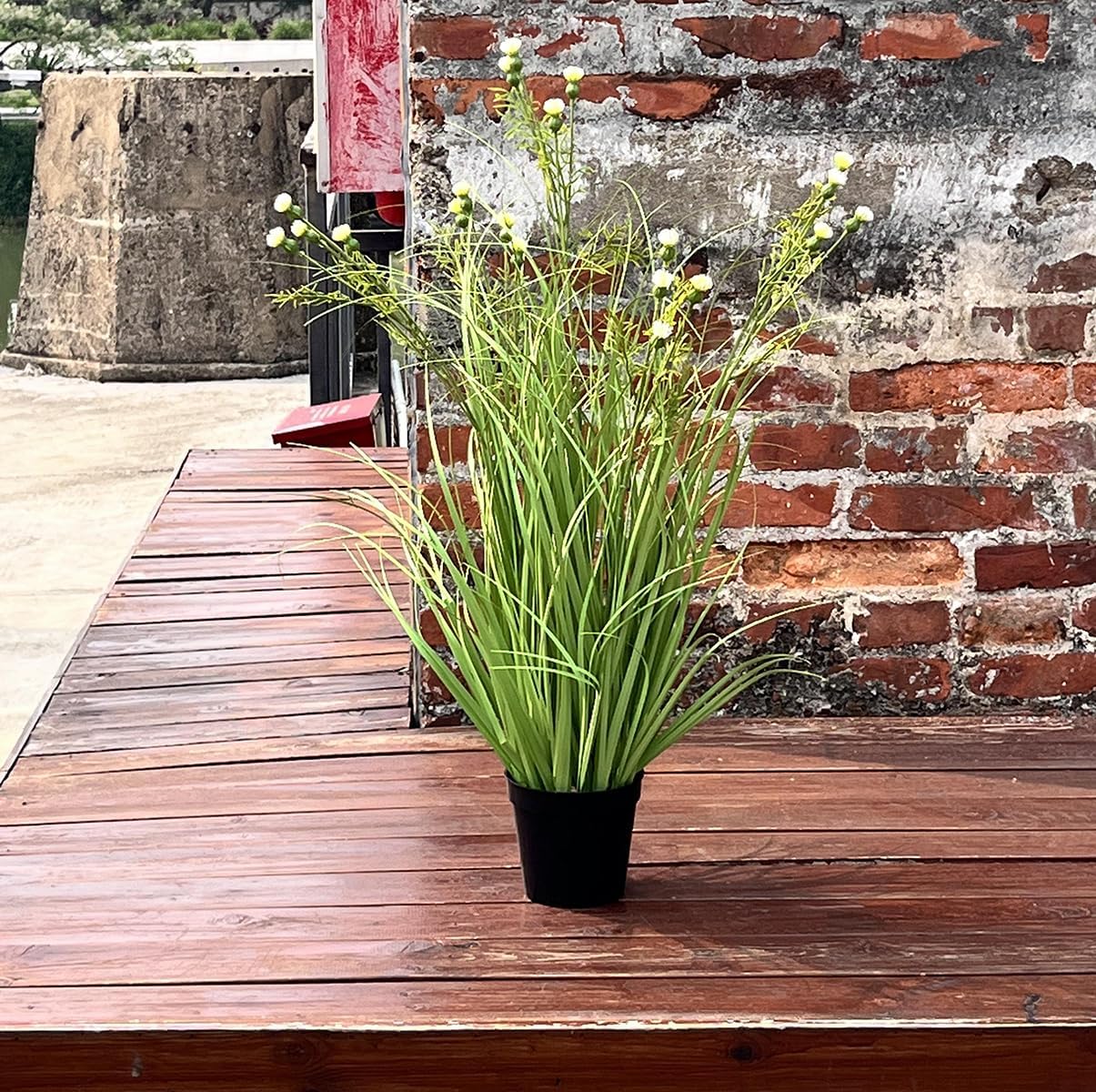Fluxode Grass Plant with 20 Realistic Flowers