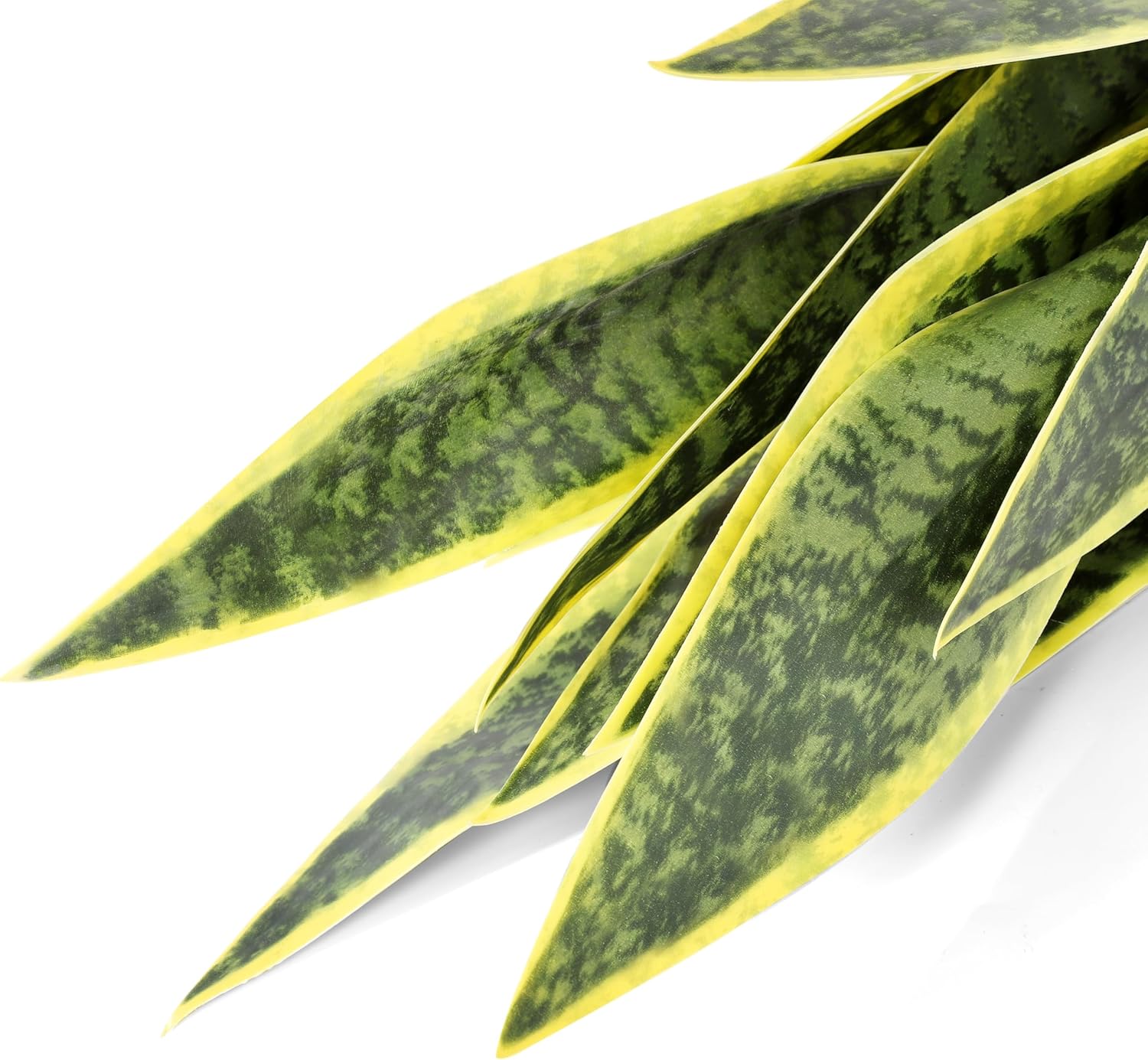 215 Inch Artificial Snake Plant Yellow in White Pot