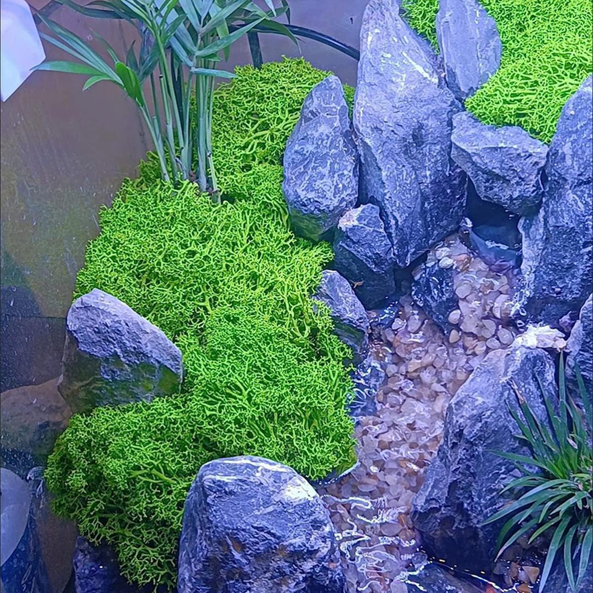 QueenBox 40g Multi-Color Artificial Moss for Home and Garden