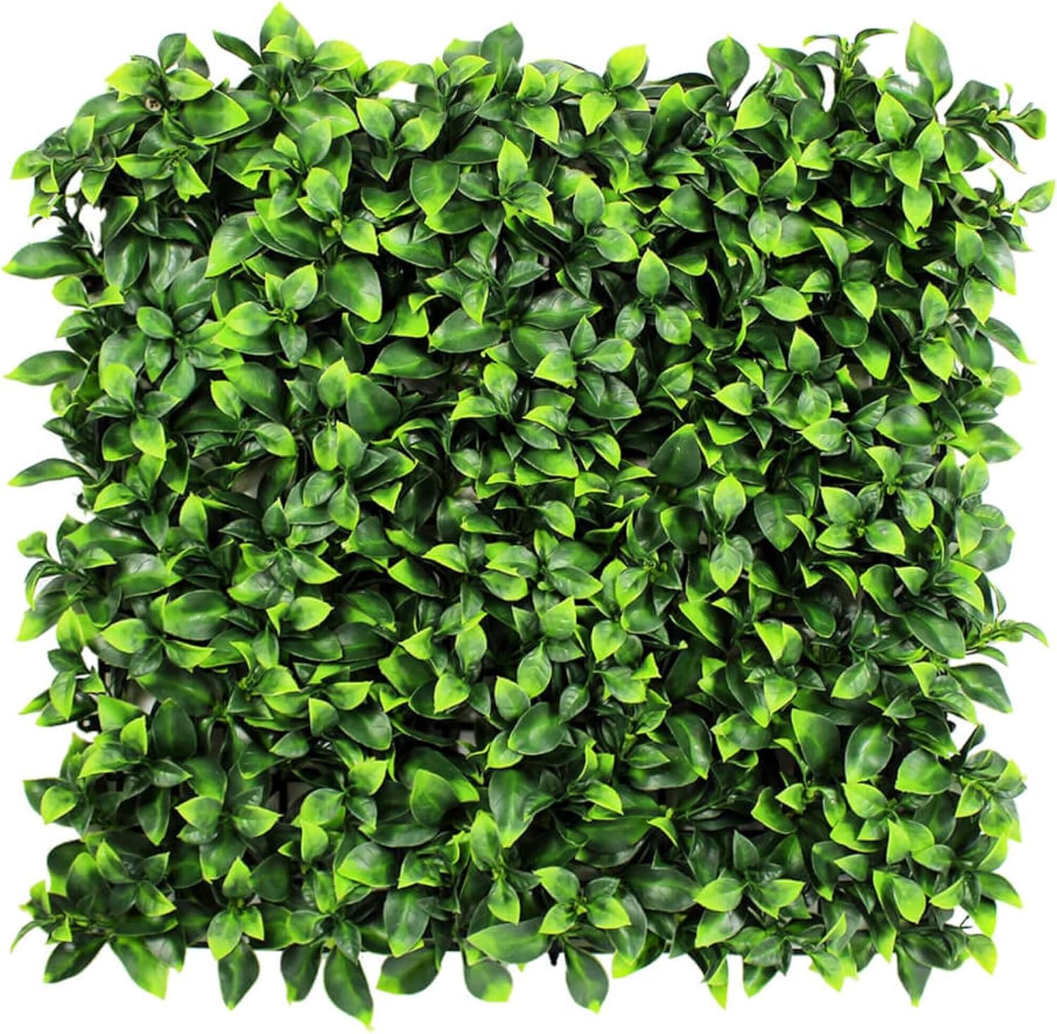 Jasmine Green Leaf Artificial Wall Panels 40x40 Inches