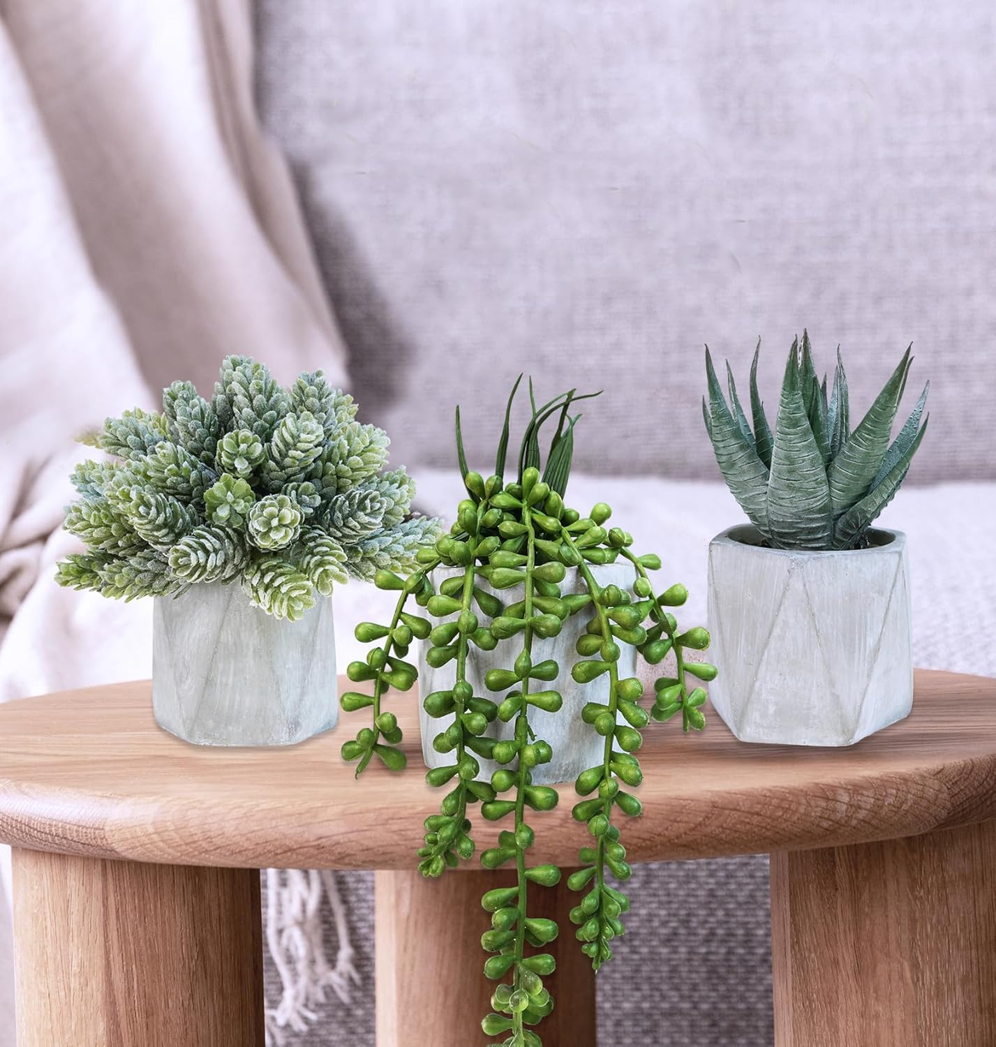 Winlyn Set of 3 Mini Artificial Succulent Plants in Gray Hexagon Ceramic Pots