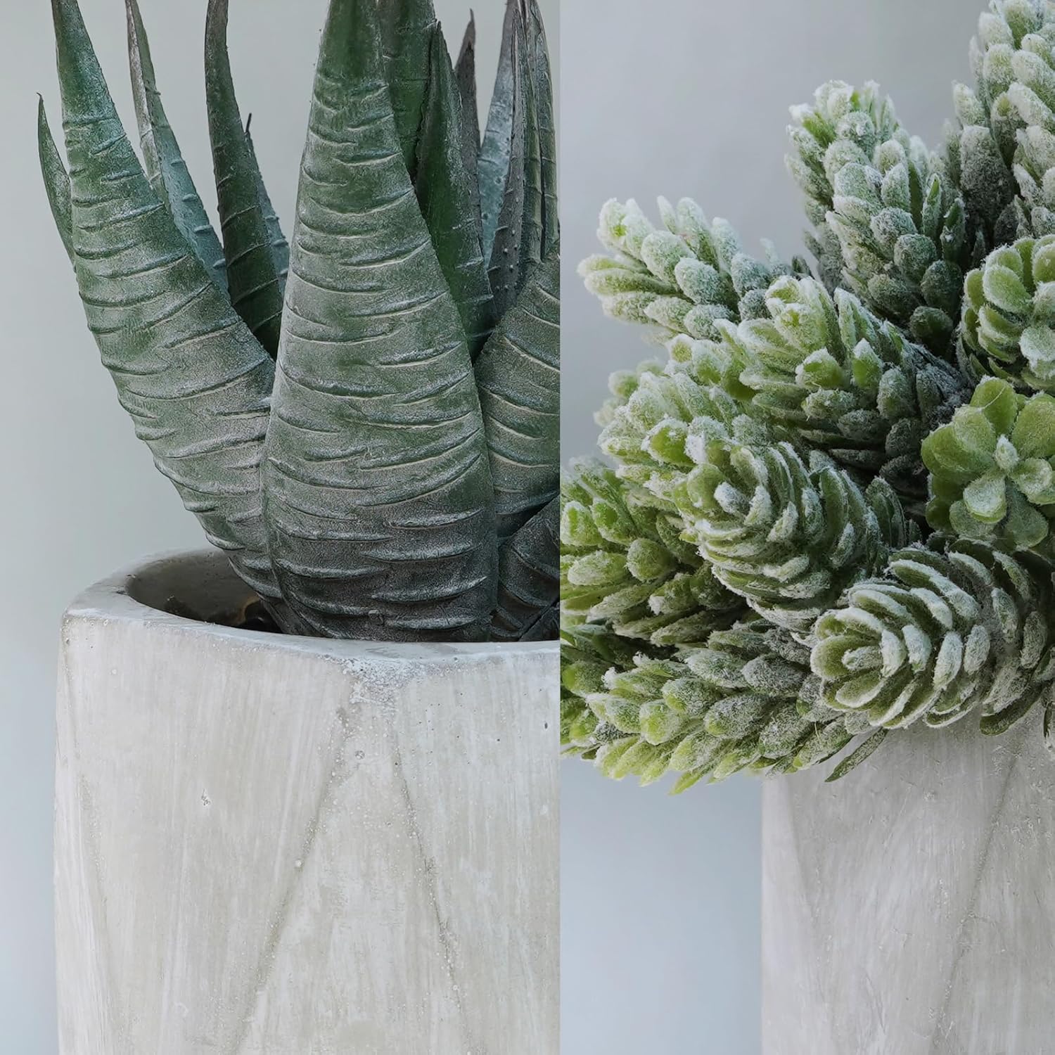 Winlyn Set of 3 Mini Artificial Succulent Plants in Gray Hexagon Ceramic Pots