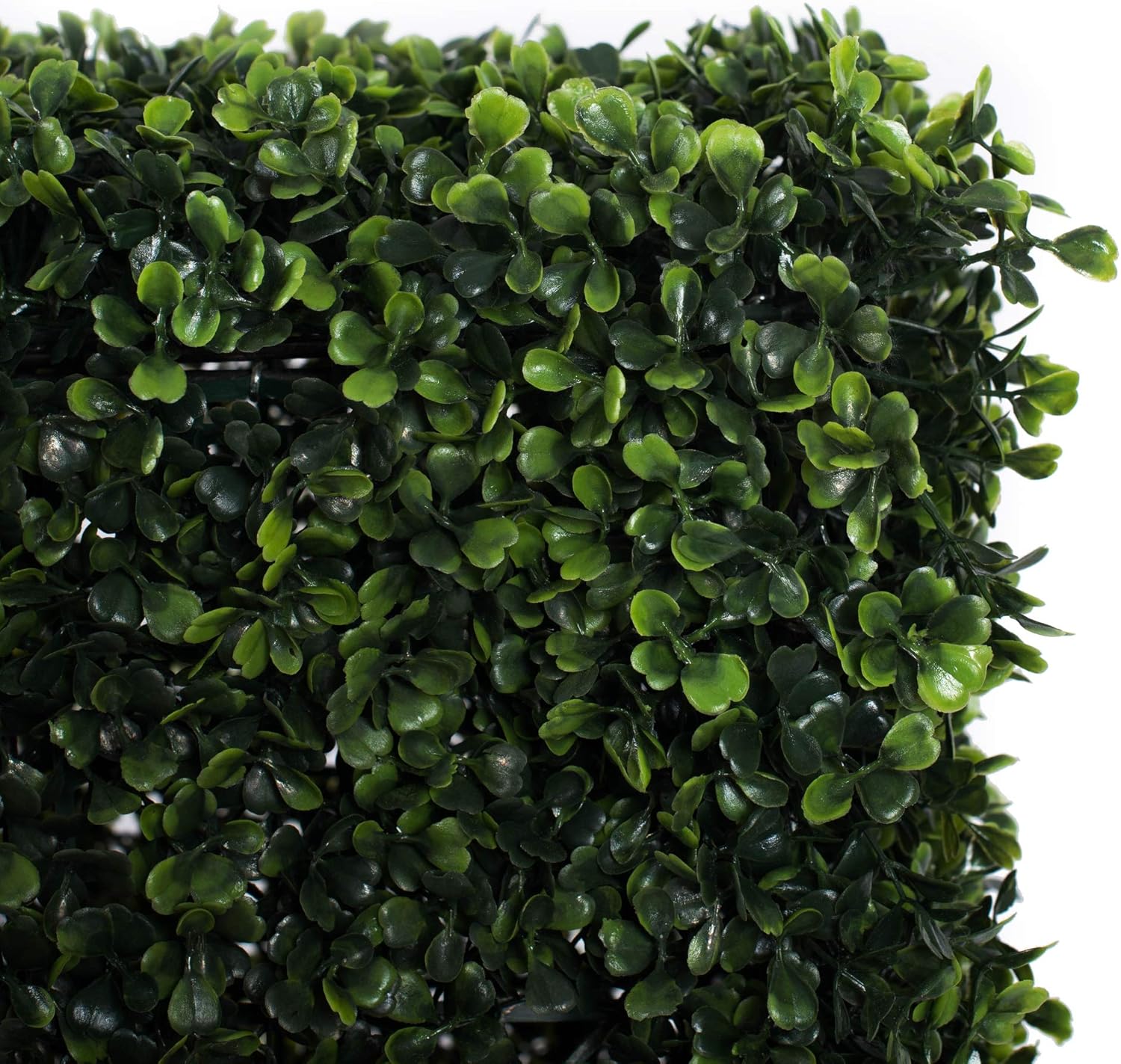 Vickerman Artificial Boxwood Hedge 48x12x48 UV Resistant Indoor Outdoor Decoration