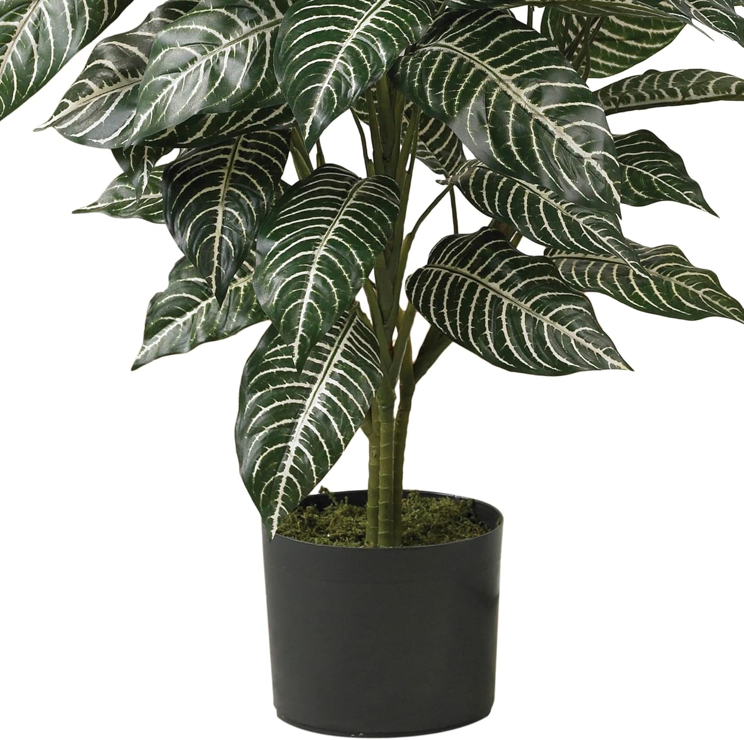 Nearly Natural 3ft Zebra Silk Plant 1