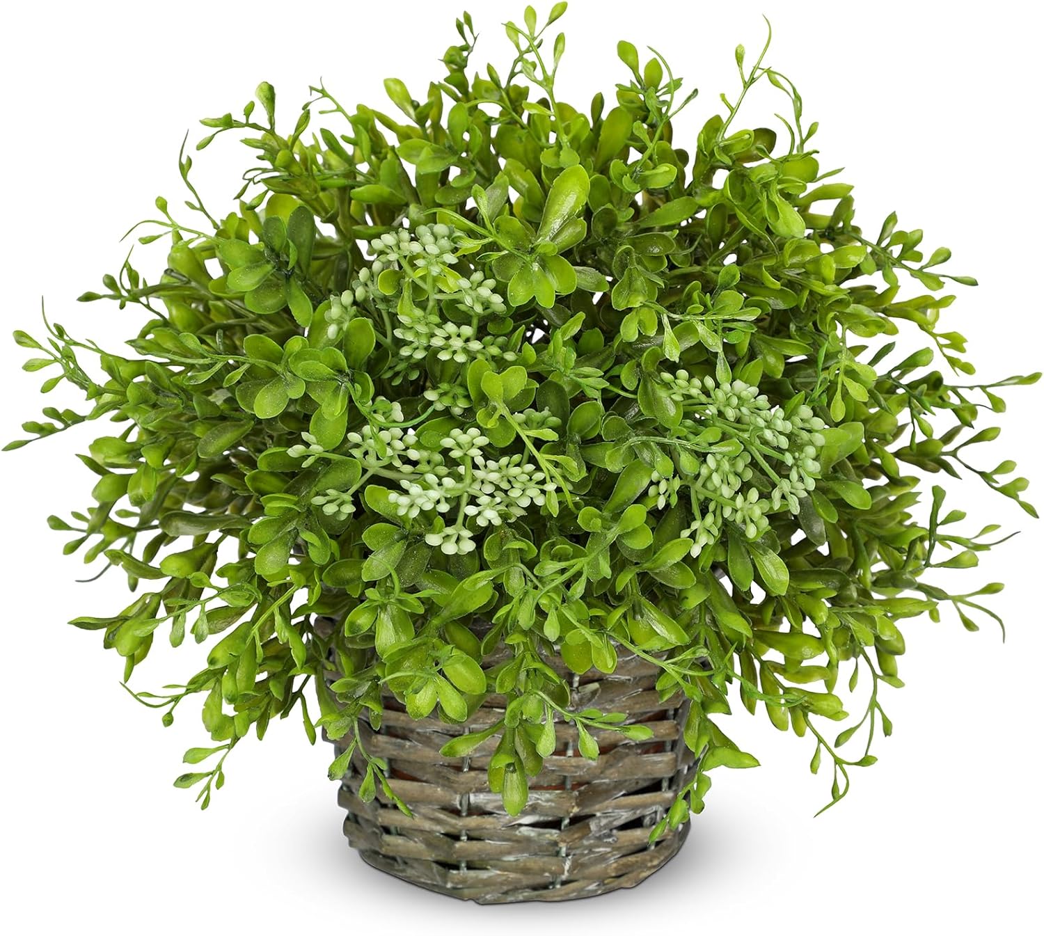 Hollyone Artificial Boxwood Plant in Woven Pot 9 Inch