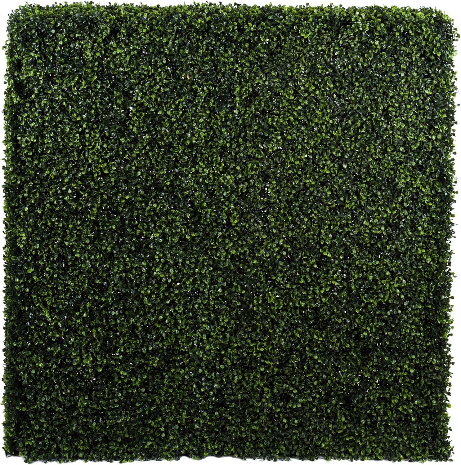 Vickerman Artificial Boxwood Hedge 48x12x48 UV Resistant Indoor Outdoor Decoration