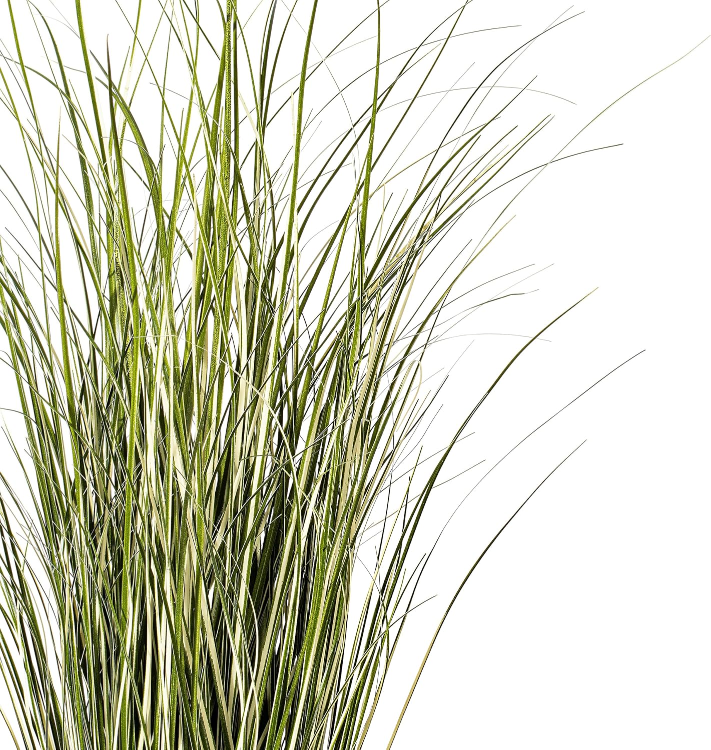 Vickerman 37 Inch Artificial Variegated Green Grass with Iron Pot